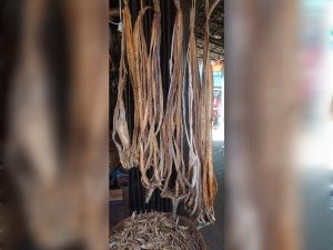 কাইল্লা-Kailla