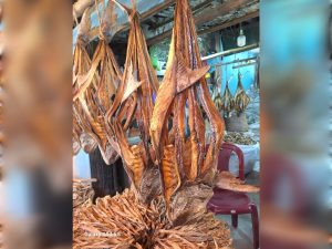 তাইল্লা-Tailla